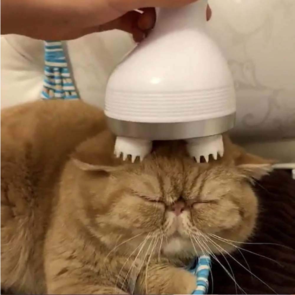 Automatic Cat Massager - MTR210