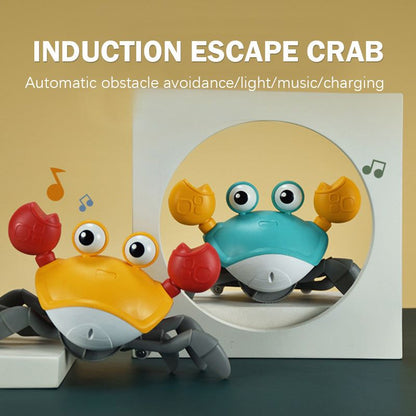 Crawling Crab Toy - MTR210