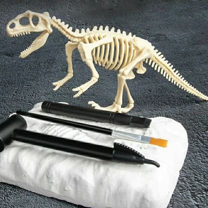 Dinosaur Fossil Digging Kit - MTR210