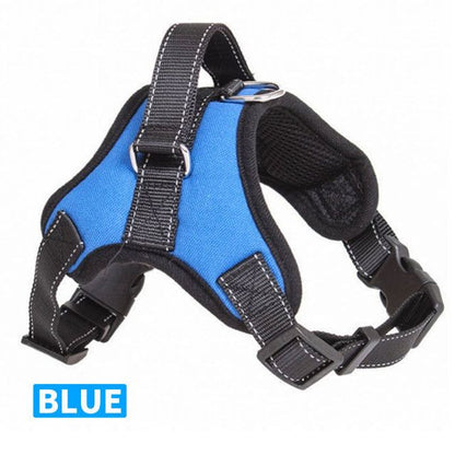 Dog Collars Chest Harnesses - MTR210