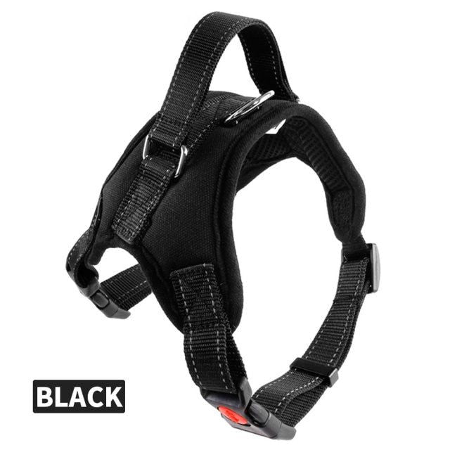 Dog Collars Chest Harnesses - MTR210