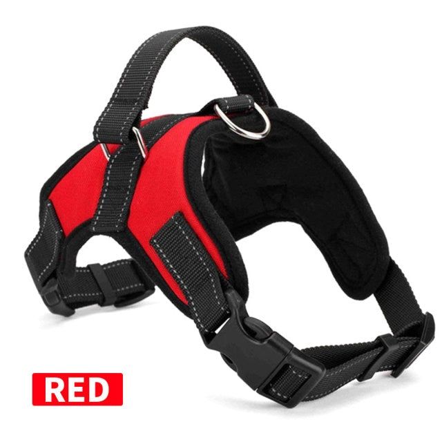 Dog Collars Chest Harnesses - MTR210