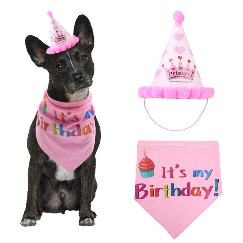 Dogs Birthday Headwear - MTR210