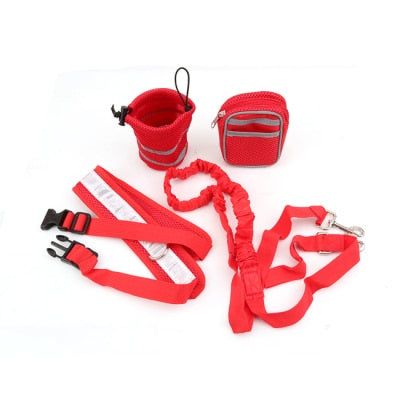 ELASTIC HANDS-FREE DOG LEASH SET - MTR210