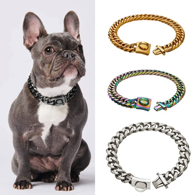 Gold Chain Dog Collar - MTR210