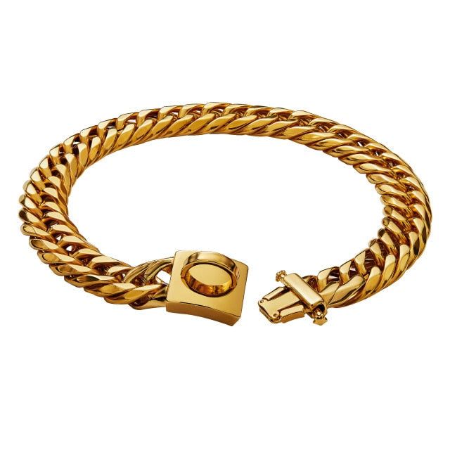 Gold Chain Dog Collar - MTR210