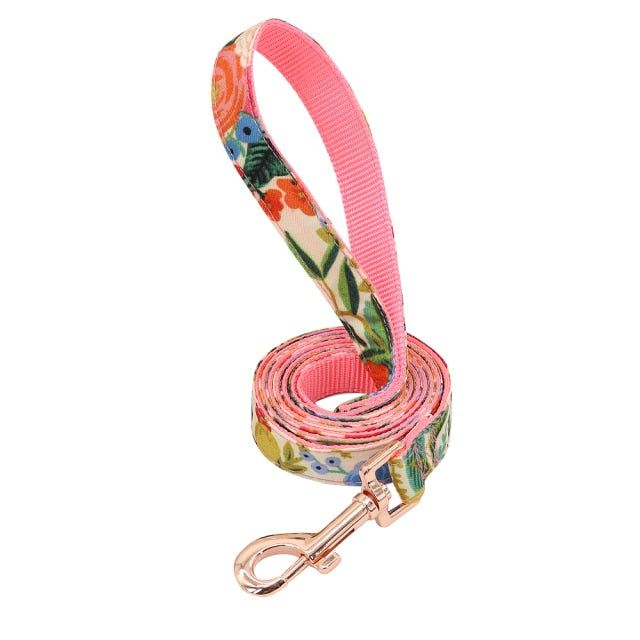 Nylon Printed Dog Leash - MTR210