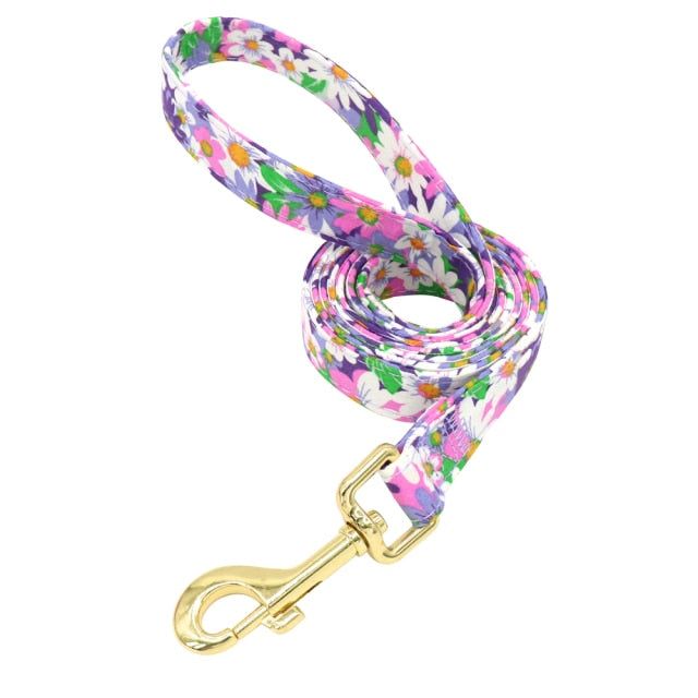 Nylon Printed Dog Leash - MTR210