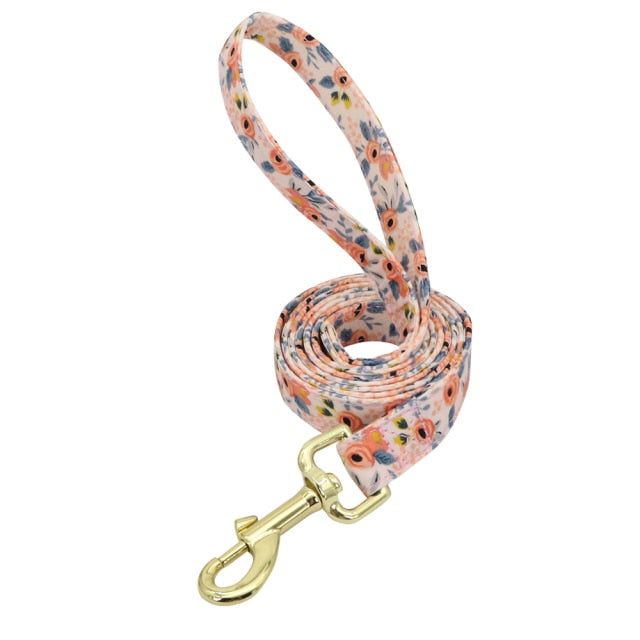 Nylon Printed Dog Leash - MTR210