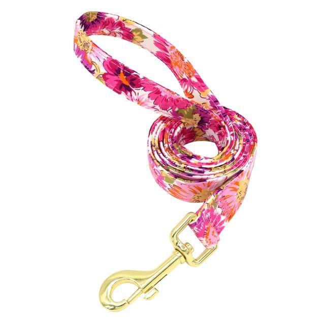 Nylon Printed Dog Leash - MTR210