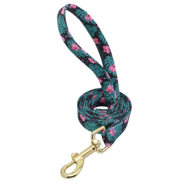 Nylon Printed Dog Leash - MTR210