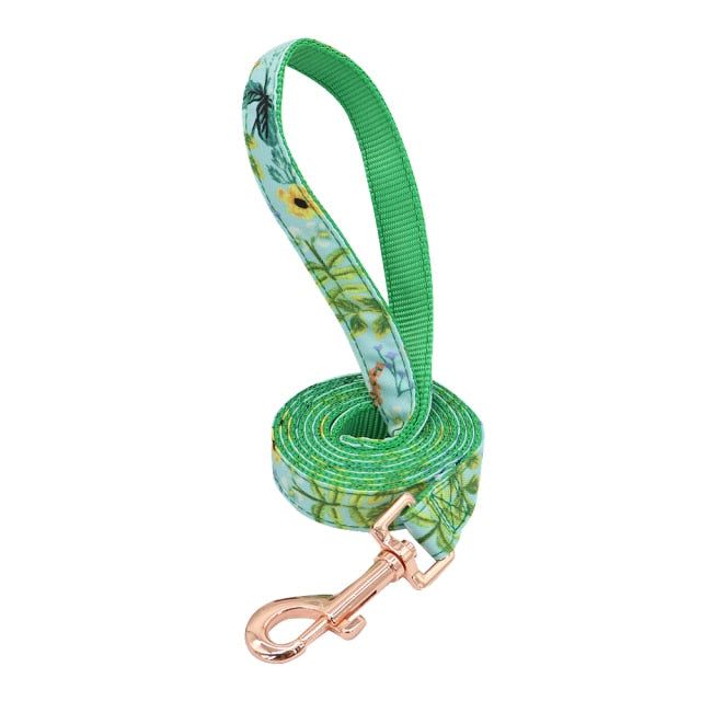 Nylon Printed Dog Leash - MTR210