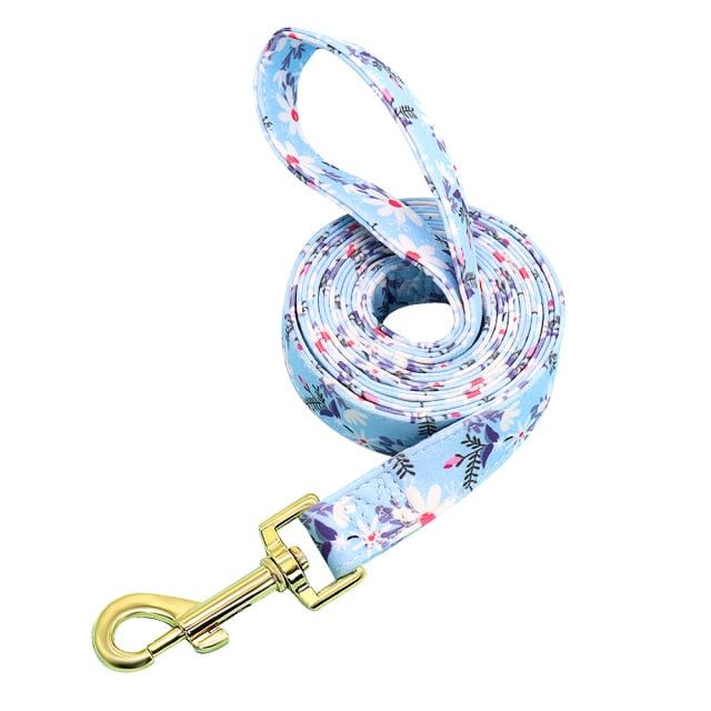 Nylon Printed Dog Leash - MTR210