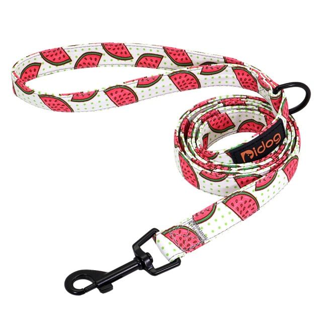 Nylon Printed Dog Leash - MTR210