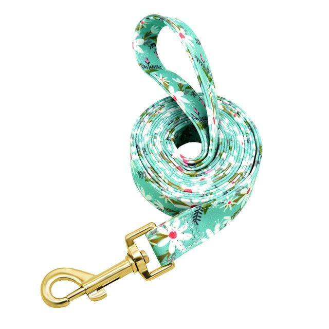 Nylon Printed Dog Leash - MTR210