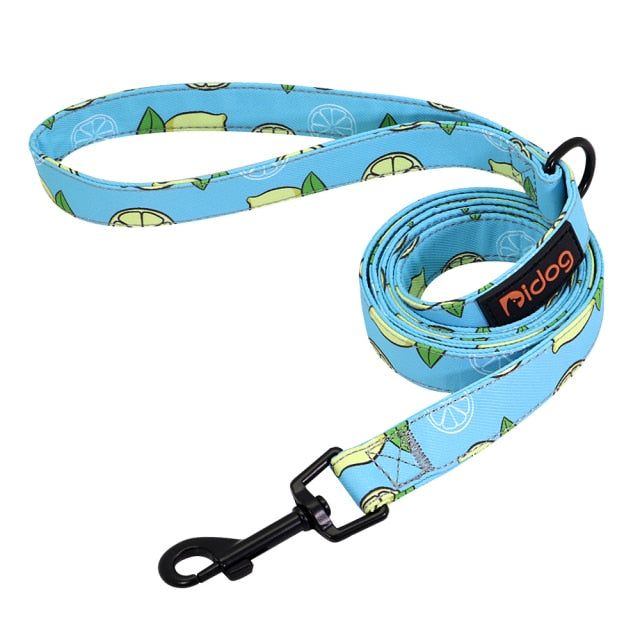 Nylon Printed Dog Leash - MTR210