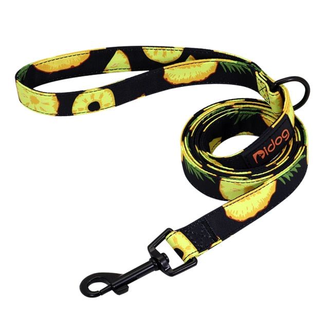 Nylon Printed Dog Leash - MTR210