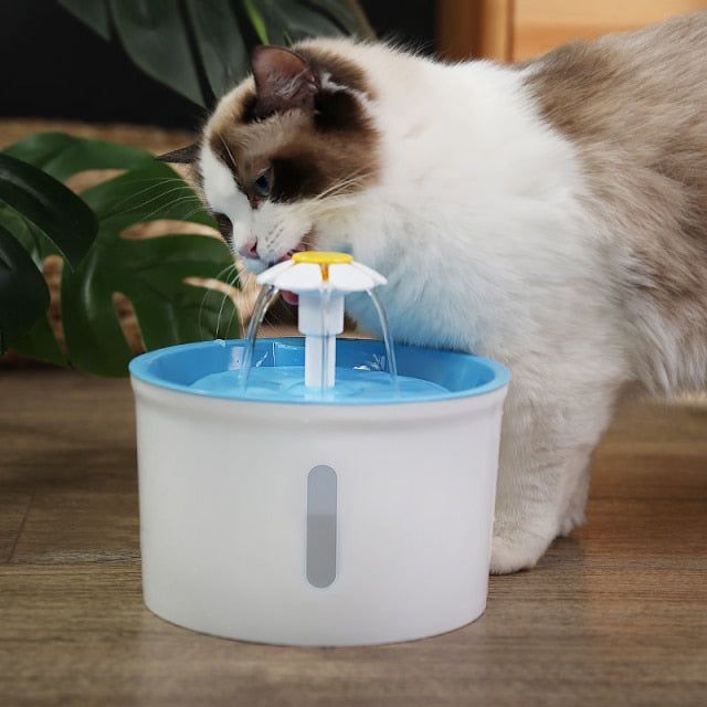 Pet Water Dispenser - MTR210