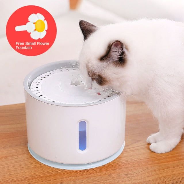 Pet Water Dispenser - MTR210