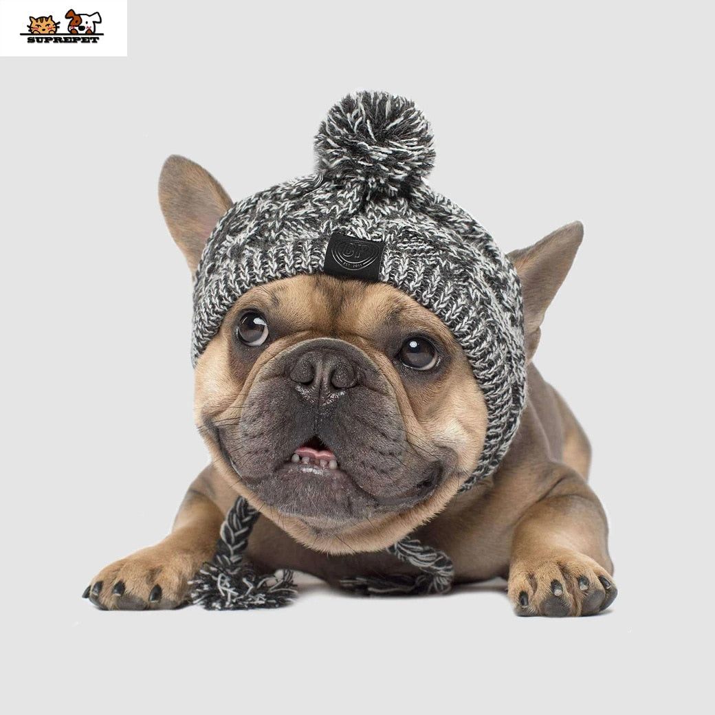 PoochPom - Polar Dog Pom Pom Hat - MTR210