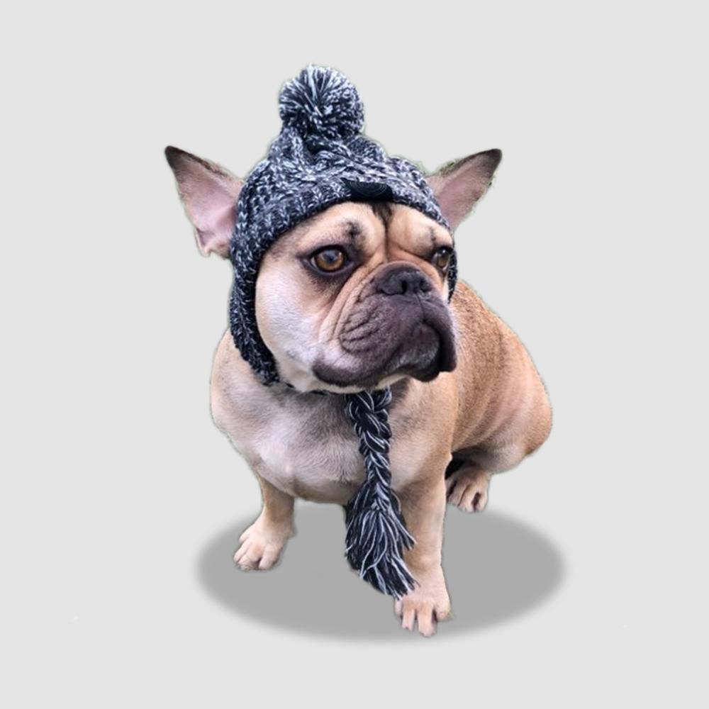 PoochPom - Polar Dog Pom Pom Hat - MTR210