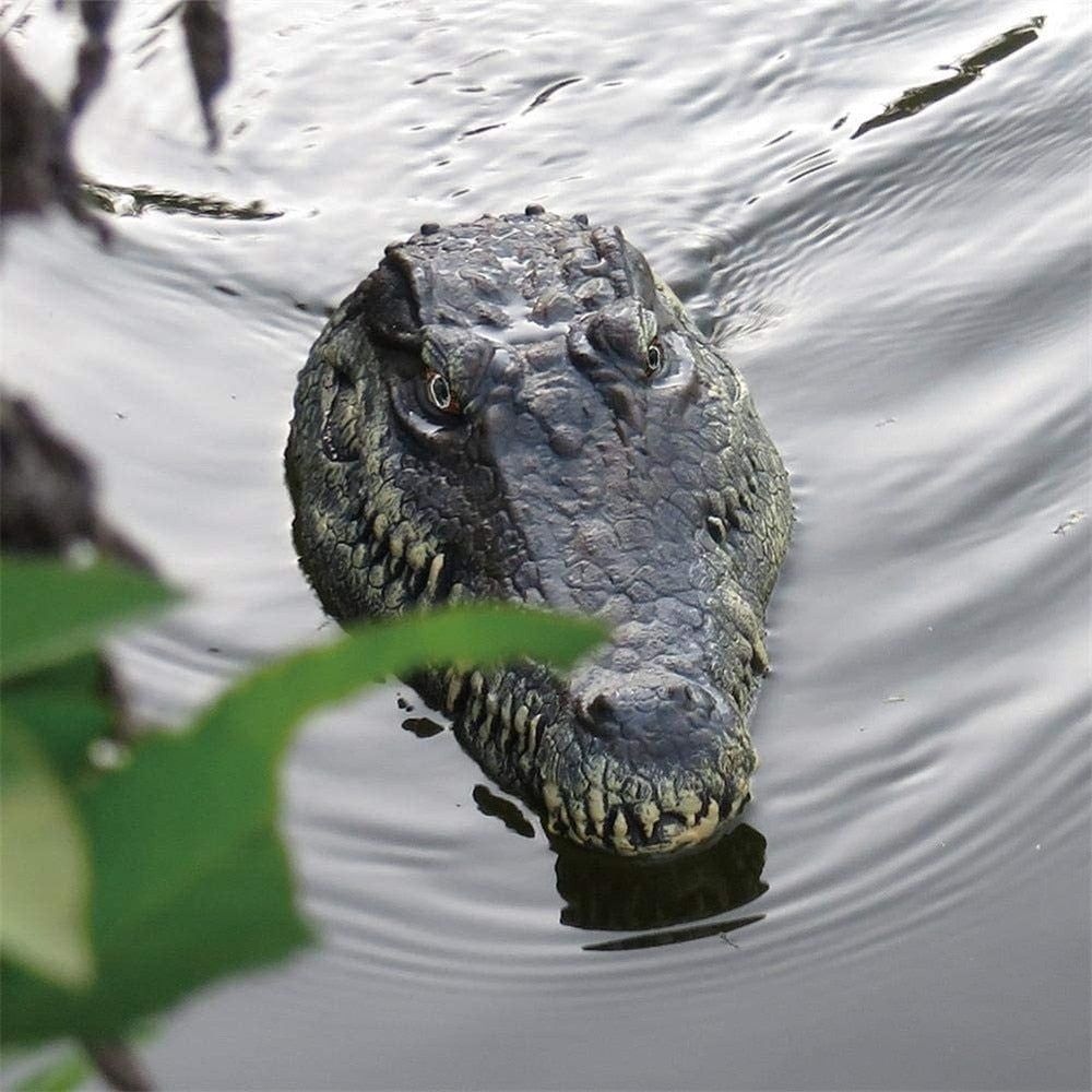 RC Alligator Head Toy - MTR210