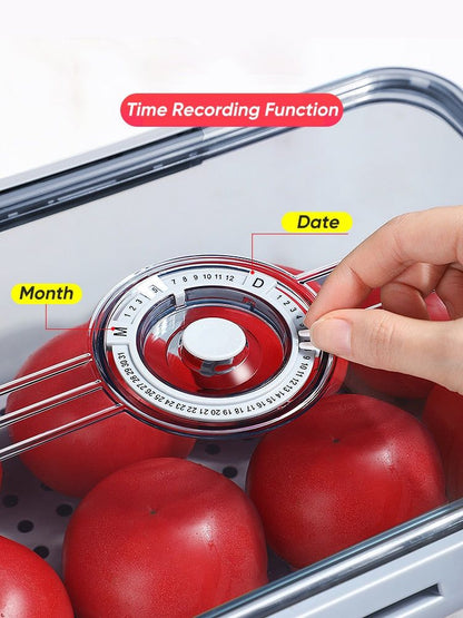 Seal Timer Food Container-3PCS - MTR210