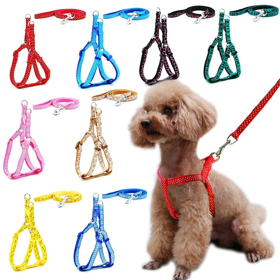 Small Dog Cat Harness Leash - MTR210