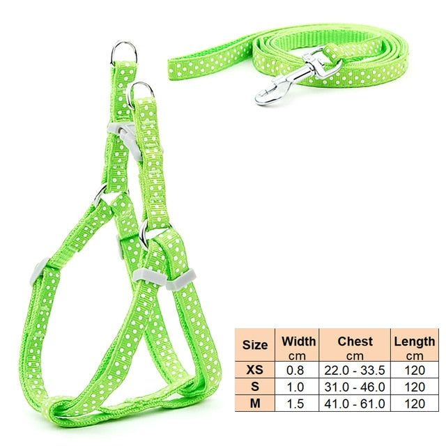 Small Dog Cat Harness Leash - MTR210