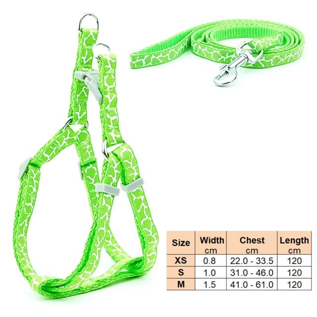 Small Dog Cat Harness Leash - MTR210