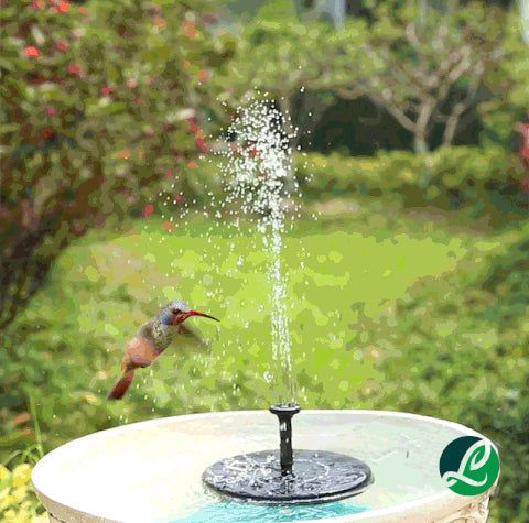 Solar Powered Fountain Pump - MTR210