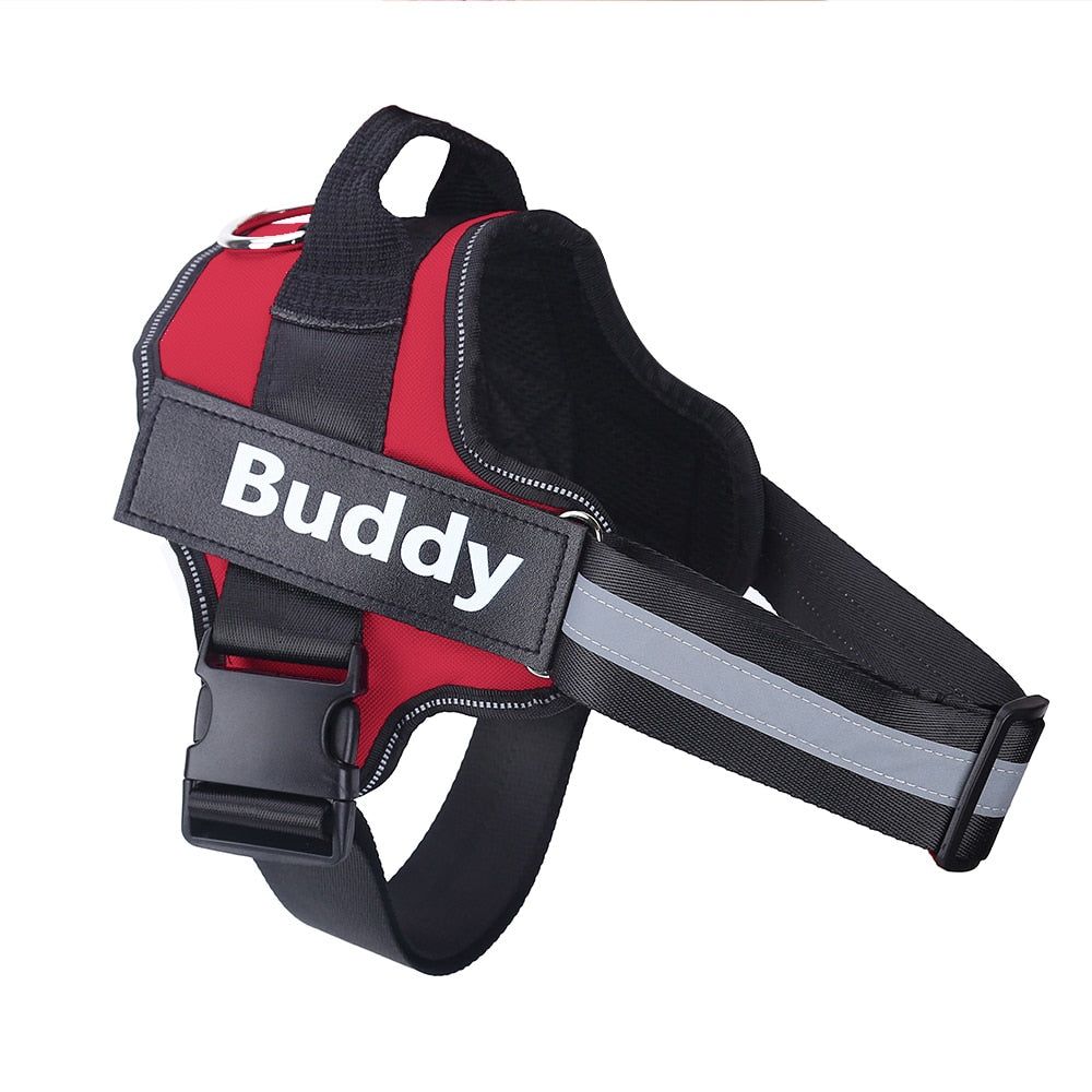 Strap N Walk-Personalized Safety Dog Harness - MTR210