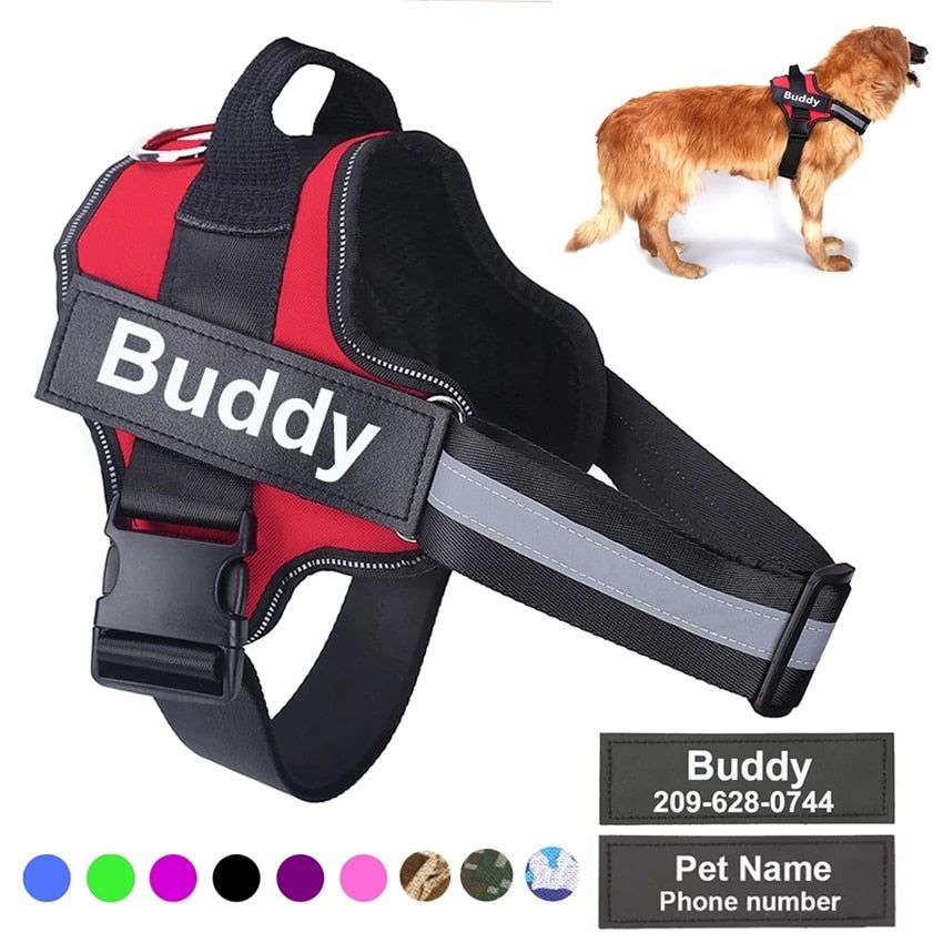 Strap N Walk-Personalized Safety Dog Harness - MTR210