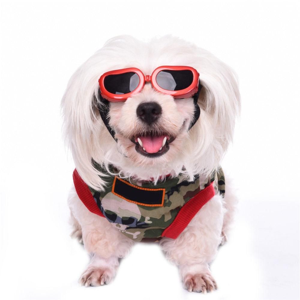 Sunglasses Eye Protection For Pets - MTR210